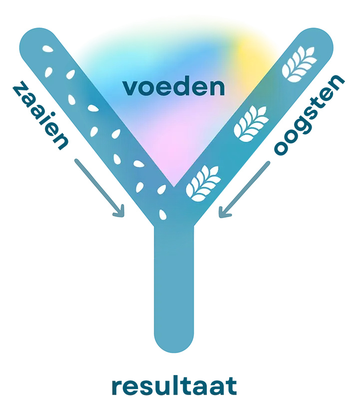 y-model